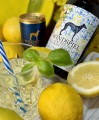 Windspiel_Limoncello_2.jpg